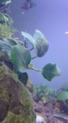 IMG_20190112_201122.jpg