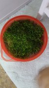 IMG-20190119-WA0020.jpeg