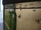IMG-20190123-WA0003.jpg