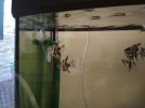 IMG-20190123-WA0001.jpg