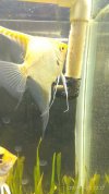 IMG_20190128_222748.jpg IMG_20190128_222748.jpg
