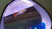 20190130_075353.jpg