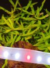 20190215_165758.jpg