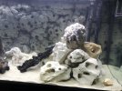 5911