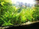 5978