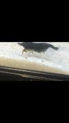 8949D188-8E95-40D0-96A5-857E3F4EAB87.png