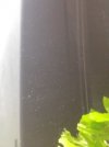 IMG_20190412_160539.jpg