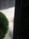 291BFA31-CC90-42B8-BB02-4DB20FFD66D7.jpeg