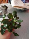 IMG_20190417_115038.jpg