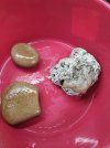 IMG_20190423_173851.jpg