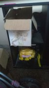 IMG-20190423-WA0029.jpg IMG-20190423-WA0029.jpg