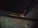 IMG-20190423-WA0021.jpg IMG-20190423-WA0021.jpg