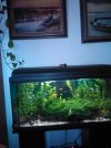 IMG-20190422-WA0007.jpg IMG-20190422-WA0007.jpg