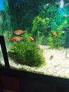 IMG_20190515_202635.jpg