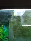 IMG_20190522_150206.jpg