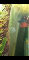 Screenshot_20190523-115717_Video Player.jpg