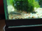 IMG_20190525_084652.jpg
