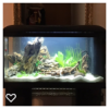 acuario.png