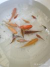 acuario 2.jpg
