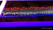IMG_20190710_202639.jpg