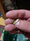 20190711_212200.jpg