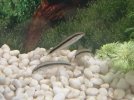 IMG_20190713_132454.jpg