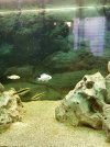20190724_204106.jpg 20190724_204106.jpg