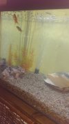 IMG-20190721-WA0008.jpeg