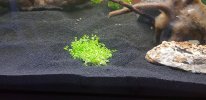 20190831_062958.jpg