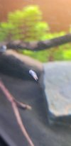 20190907_165150.jpg
