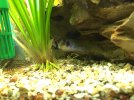 1BC07178-60B6-46A5-9556-C02412BBC6AA.jpeg