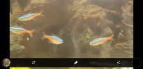 Screenshot_20190912-183601_Video Player.jpg