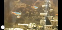 Screenshot_20190912-183555_Video Player.jpg