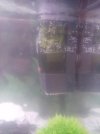 IMG_20190921_181143.jpg