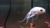 IMG_20191007_213913_392.jpg