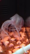 IMG_20191008_122913_652.jpg