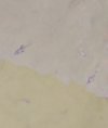 IMG_20191008_090430.jpg