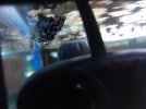 IMG_20191009_203013.jpg