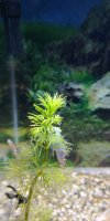 IMG_20191017_193716.jpg
