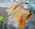 20191020_135041.jpg