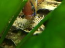 6E07AEF4-D9CB-49ED-976C-46C132715C62.jpeg 6E07AEF4-D9CB-49ED-976C-46C132715C62.jpeg