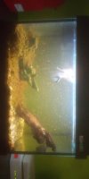 IMG-20191201-WA0003.jpeg