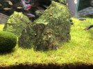 47AC36D4-77CE-4278-AE14-6B249B483828.jpeg
