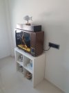 20180714_133108.jpg