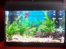 IMG_20191216_160143.jpg