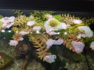 IMG-20191220-WA0000.jpg