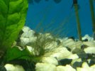 IMG_20200107_092708.jpg