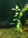 IMG_20200108_191348.jpg