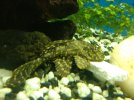 IMG_20200117_131543.jpg