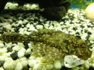 IMG_20200117_143359.jpg